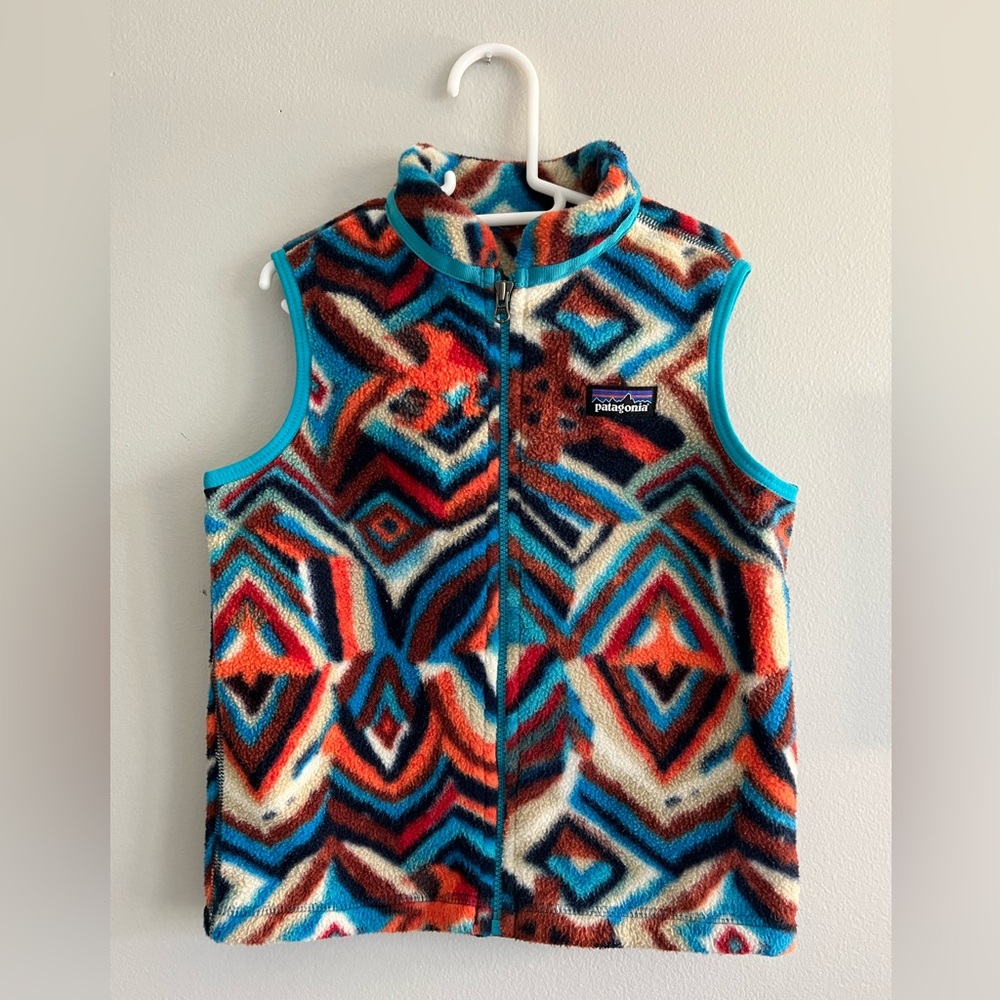Patagonia Multicolor Fleece Vest